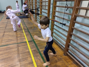 Taekwondo Toruń67
