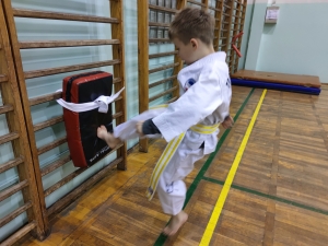 Taekwondo Toruń69