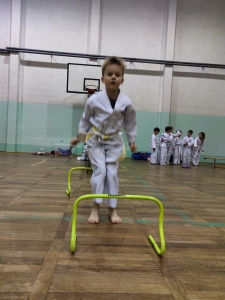 Taekwondo Toruń71