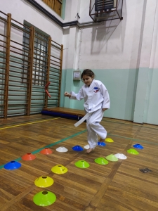Taekwondo Toruń72