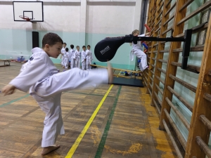 Taekwondo Toruń76