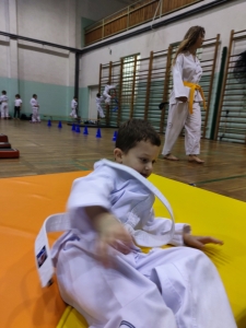 Taekwondo Toruń82