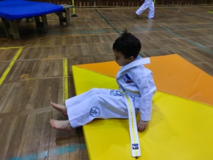 Taekwondo Toruń83