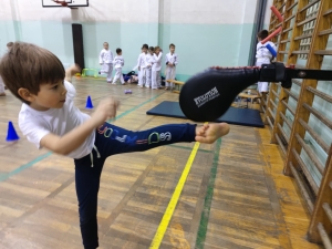 Taekwondo Toruń85
