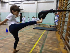 Taekwondo Toruń86