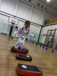 Taekwondo Toruń90