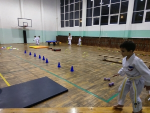 Taekwondo Toruń91