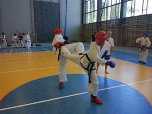 Taekwon-do Toruń Działdowo Mława - Zgrupowanie Kadry Narodowej (1)