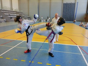 Taekwon-do Toruń Działdowo Mława - Zgrupowanie Kadry Narodowej (14)