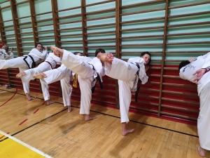Taekwondo Toruń (10)