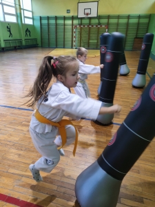 Taekwondo Toruń (3)
