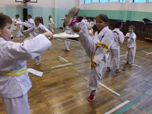 Taekwondo Toruń (8)